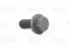 Болт з головкою системи TORX з чорного металу VAG N90320802 (фото 1)