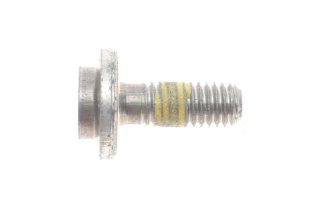 Гвинт з внутрішнім Torx М6x16 VAG WHT003157