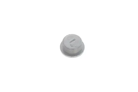Заглушка піддона М22Х1,5 VAG WHT005282