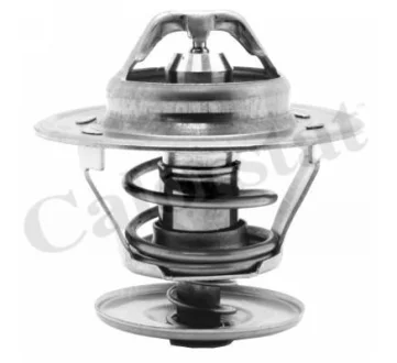 Термостат CALORSTAT by Vernet TH143984J