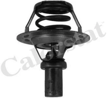 Термостат, охолоджуюча рідина CALORSTAT by Vernet TH5284.86J