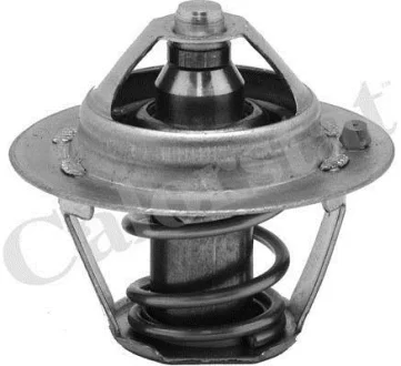 Термостат Ford Fiesta IV/Focus 1.4/1.6i 16V 97-12 (82 C) Vernet TH6245.82J