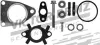 Комплект турбіни, монтажний CITROEN/FIAT/PEUGEOT C4,C5,307,308,407,508,Expert 2,0HDI 04- ="" VICTOR REINZ 041006101 (фото 1)
