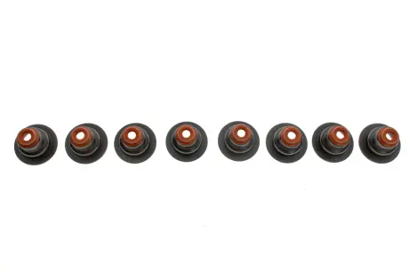Сальник клапана (впуск/випуск) Renault Kangoo/Clio 1.1/1.2 96- (к-кт), D7F/D7D REINZ VICTOR REINZ 12-33447-01