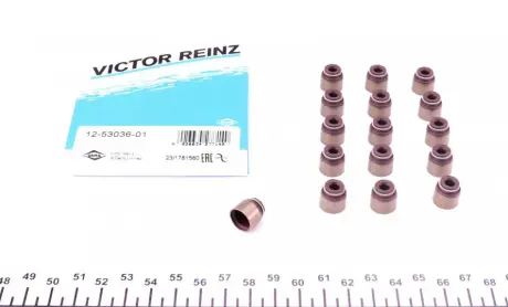 Сальник клапана (впуск/випуск) (к-кт) Renault Kangoo VICTOR REINZ 125303601