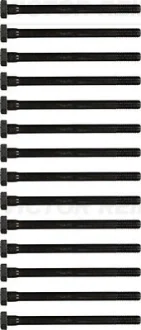 Комплект болтов головки цилидра VICTOR REINZ 143200002