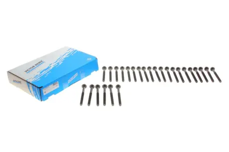 B_Комплект болтів ГБЦ MB E-G-S(W210,W124,W463,W140) 3,0TD 93-98 ="" VICTOR REINZ 143203303