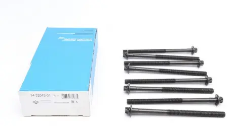 Болти головки (к-кт 8шт.) Smart 0.6/0.7i, (M 160 E6AL) REINZ VICTOR REINZ 14-32043-01