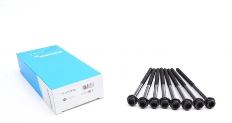 Болти головки (к-кт 8шт.) Skoda Fabia 01-14 REINZ VICTOR REINZ 14-32123-02