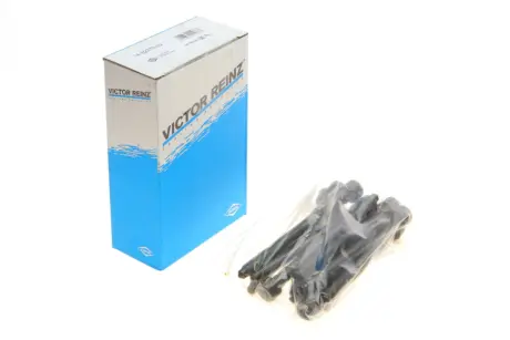 Комплект болтів головки циліндрів 14-32276-02 VICTOR REINZ 143227602