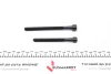 B_Комплект болтов ГБЦ BMW N52B30 X3 E83, X5 E70, 130i E81, 330i E92 ="" Victor Reinz VICTOR REINZ 143231501 (фото 2)