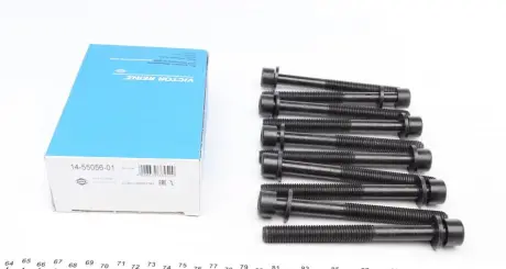 Комплект болтів ГБЦ VICTOR REINZ 14-55056-01