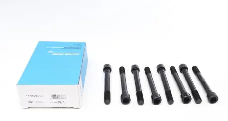 Комплект болтів головки циліндрів VICTOR REINZ 14-55063-01