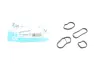 Прокладка радіатора масляного BMW X1 (F48)/X2 (F39) 15- (к-кт) B37/B38/B42/B46/B47/B48 REINZ VICTOR REINZ 15-10049-01 (фото 1)
