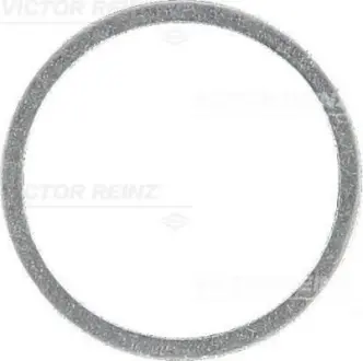 Уплотнительное кольцо VICTOR REINZ 407107800