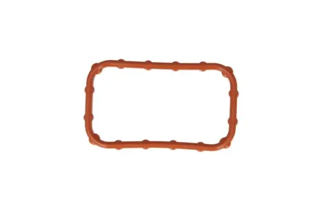 Прокладка впускного колектора VICTOR REINZ 711018300