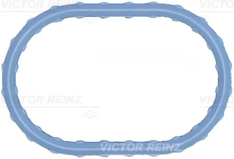Прокладки колектора впускного VICTOR REINZ 711749800