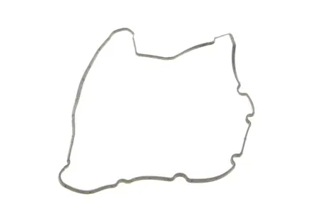 Прокладка кришки клапанів Fiat Scudo 2.0JTD, DW10/DW12 REINZ VICTOR REINZ 71-34404-00