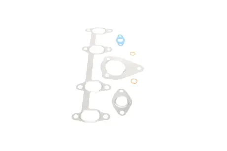Комплект прокладок турбіни VW Bora 02-05,Golf (02-06) 1.9L mot.ARL Vika 12531045901