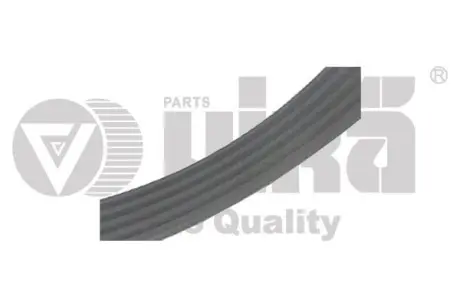 Ремінь поліклінової 6PK1095 Skoda Fabia (00-08)/VW Polo (02-06)/Seat Cordoba (03-09),Ibiza (02-10) Vika 19030598801