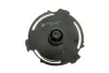 Фільтр паливний Ford Transit 2.2TDCi 11- WIX FILTERS WF8482 (фото 3)