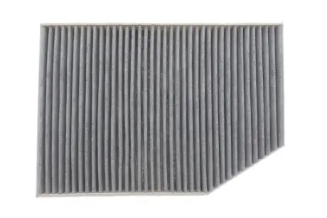 Фільтр салону BMW 3 (G20/G20)/X3 (G01/F97)/X4 (G02/F98) 17-(вугільний) WIX FILTERS WP2205