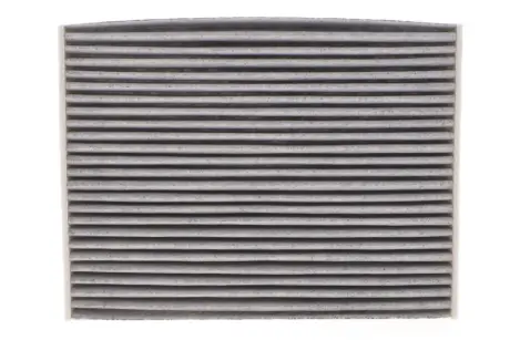 Фільтр салону Renault Trafic III 14-/Scenic III 09- (вугільний) WIX FILTERS WP9383