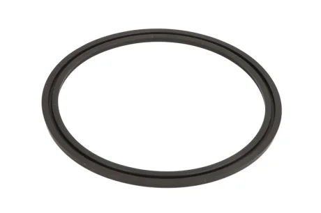 Ущільнююче кільце коробки передач T 7200 ZF 0734307170